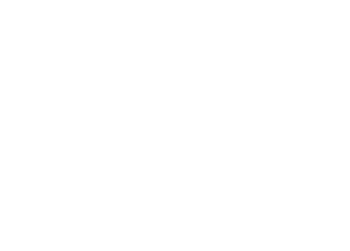 Black Mamba Logo Bianco